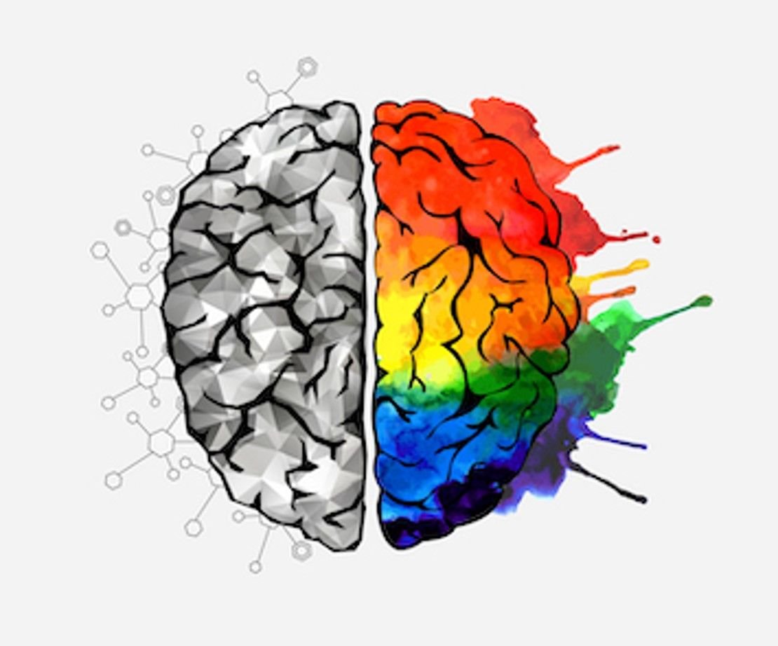 Brain colorful